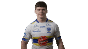 The Wire Sticker by Warrington Wolves