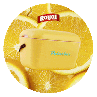 Color Amarillo Sticker by Royal