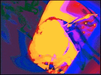 Video Art GIF by cskonopka