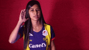 Sanluis Adsl GIF by Atlético de San Luis