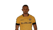 Bundesliga Celebrate Sticker by SG Dynamo Dresden