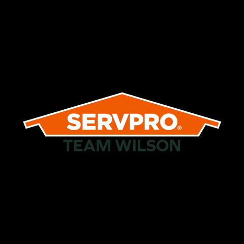 SP_TeamWilson giphyupload wilson servpro team wilson GIF