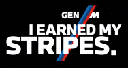 Reaction Gif Stripes GIF by BMW