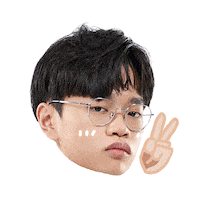 Fw Flashwolves Sticker