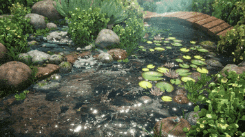 Koi Pond Landscape GIF