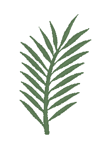 Plant Sticker