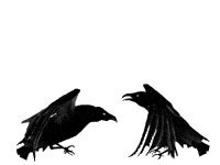 bird STICKER