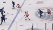 hockeyplayersclub goal hockey nhl oilers GIF