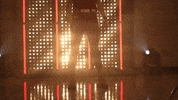 Oklahoma Sooners Softball GIF by NCAA Championships