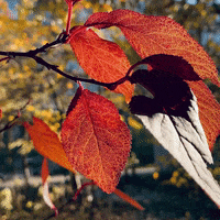 Happy September GIF by Golden Way Media Films