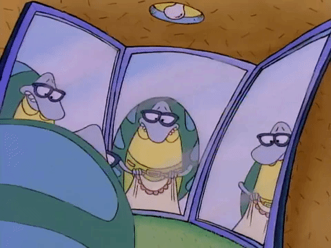 rockos modern life nicksplat GIF