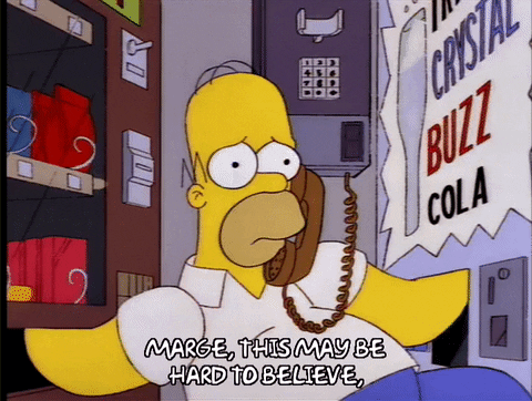 homer simpson episode 6 GIF