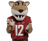 Washington State Mascot Sticker by WSU Pullman