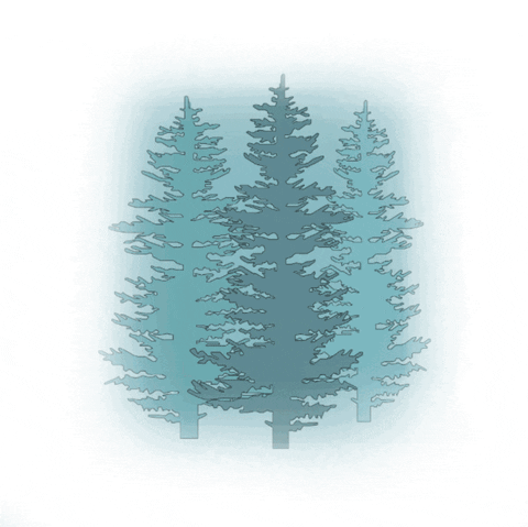 23sallyz giphyupload GIF