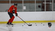Hockey Nhl GIF by Florida Panthers