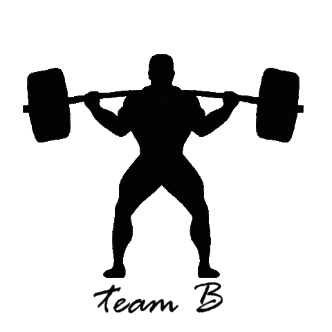 teamb giphyupload fight bjj squat Sticker