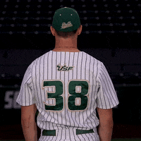 South Florida Baseball GIF by USF Athletics