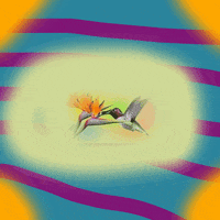 AustinPublicLibrary  GIF