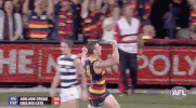 aussie rules finals GIF by AFL