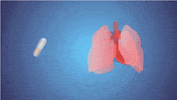 medicine lungs GIF by Harvard Medical School