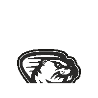 hcbobri valmez valasskemezirici bobri hcbobri Sticker