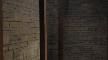 Youtube Comedy GIF