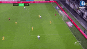 winning giorgi chakvetadze GIF by KAA Gent