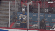 Happy National Hockey League GIF by NHL