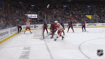 Happy National Hockey League GIF by NHL