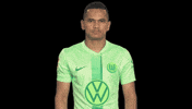 Bundesliga No GIF by VfL Wolfsburg