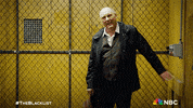 The Blacklist GIF by NBC