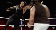 wwe wwe wrestling the shield roman reigns GIF