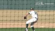 north dakota state baseball GIF by NDSU Athletics