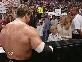 wwe sports wwe wrestling summerslam GIF