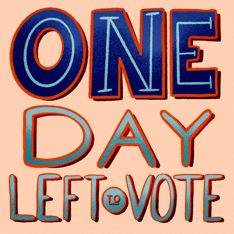 Vote Now One Day GIF by INTO ACTION