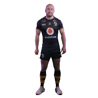Celebration Wasps Sticker by PremRugby