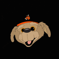 Lamp Sonora GIF by Naranjeros de Hermosillo