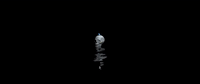 something new GIF by Roy Woods