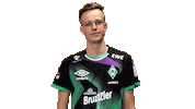 Esports Fifa Sticker by SV Werder Bremen