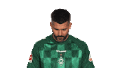 Look Up Werder Bremen Sticker by Bundesliga