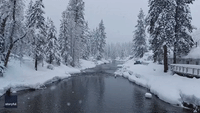Photographer Captures Snowy Tahoe City Landscape as 'Quiet' Weather Period Forecast
