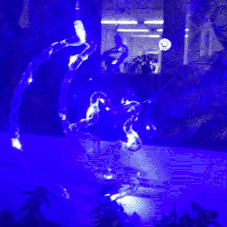 1743 GIF by Cómpralo en Casa