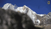 Exploring Nat Geo GIF by National Geographic Channel
