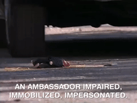 action league now nicksplat GIF