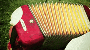 Midsummer GIF