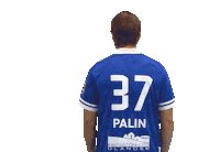 Floorball Salibandy Sticker by F-liiga