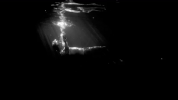 GIF by Cody Simpson