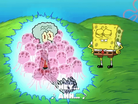 season 6 porous pockets GIF by SpongeBob SquarePants