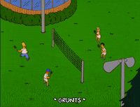 homer simpson GIF