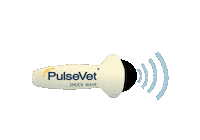 Vet Shockwave Sticker by PulseVet